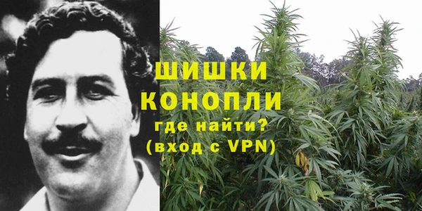 2c-b Богородицк