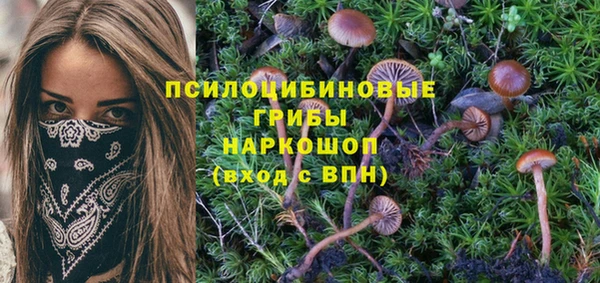 тгк Богородск