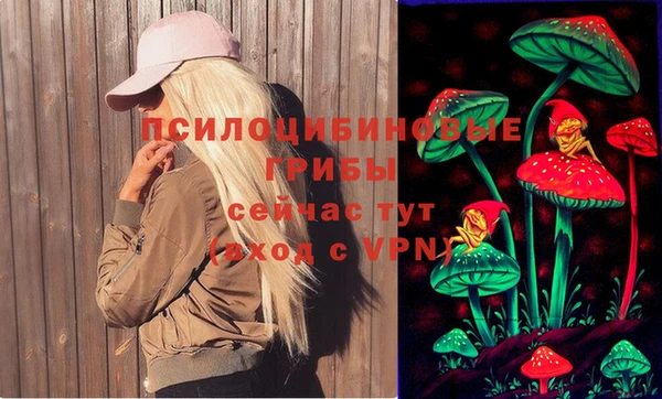 2c-b Богородицк