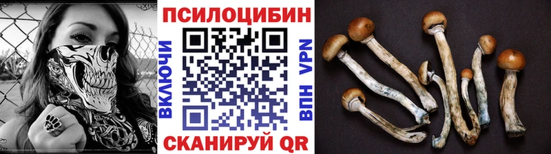 Псилоцибиновые грибы мухоморы  Кохма 